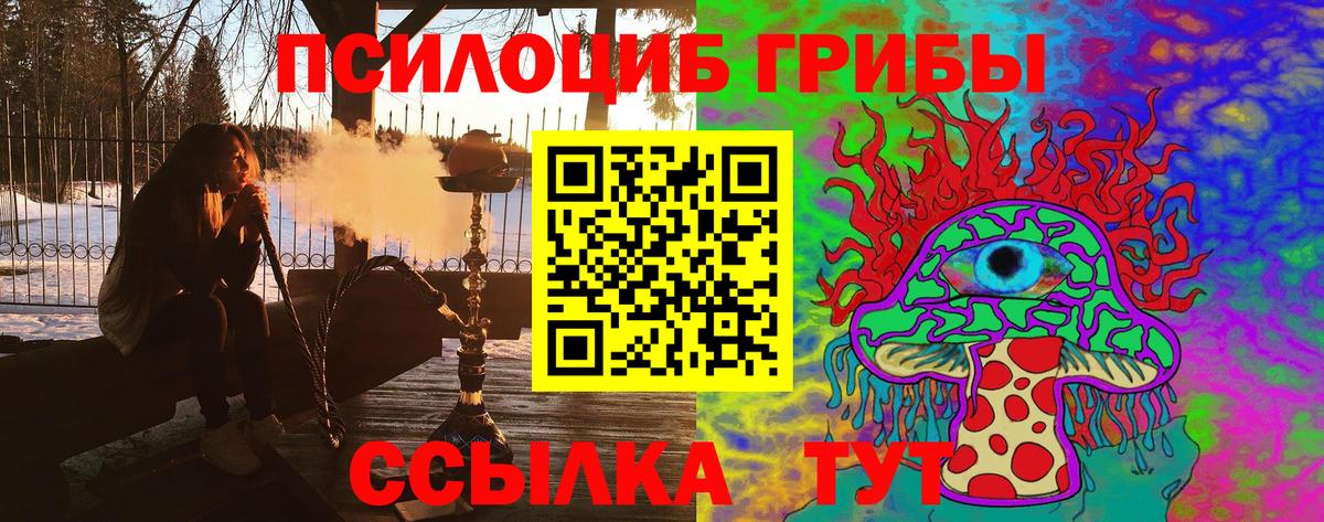 Псилоцибиновые грибы мухоморы  Вход с VPN  Минусинск 